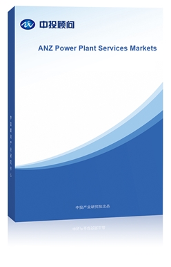 ANZ Power Plant Services Markets