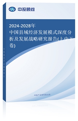 2024-2028Їh(jng)l(f)չģʽȷl(f)չо(¾)