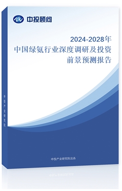 2024-2028ЇGИI{мͶYǰAy