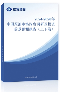 2024-2028ЇԭЈ{мͶYǰAy棨¾