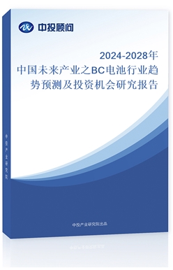 2024-2028Ї(gu)δ(li)a(chn)I(y)֮BC늳ИI(y)څ(sh)A(y)y(c)ͶYC(j)(hu)о(bo)